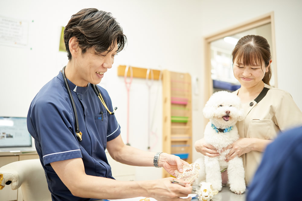 ようこそアポロどうぶつ病院へ